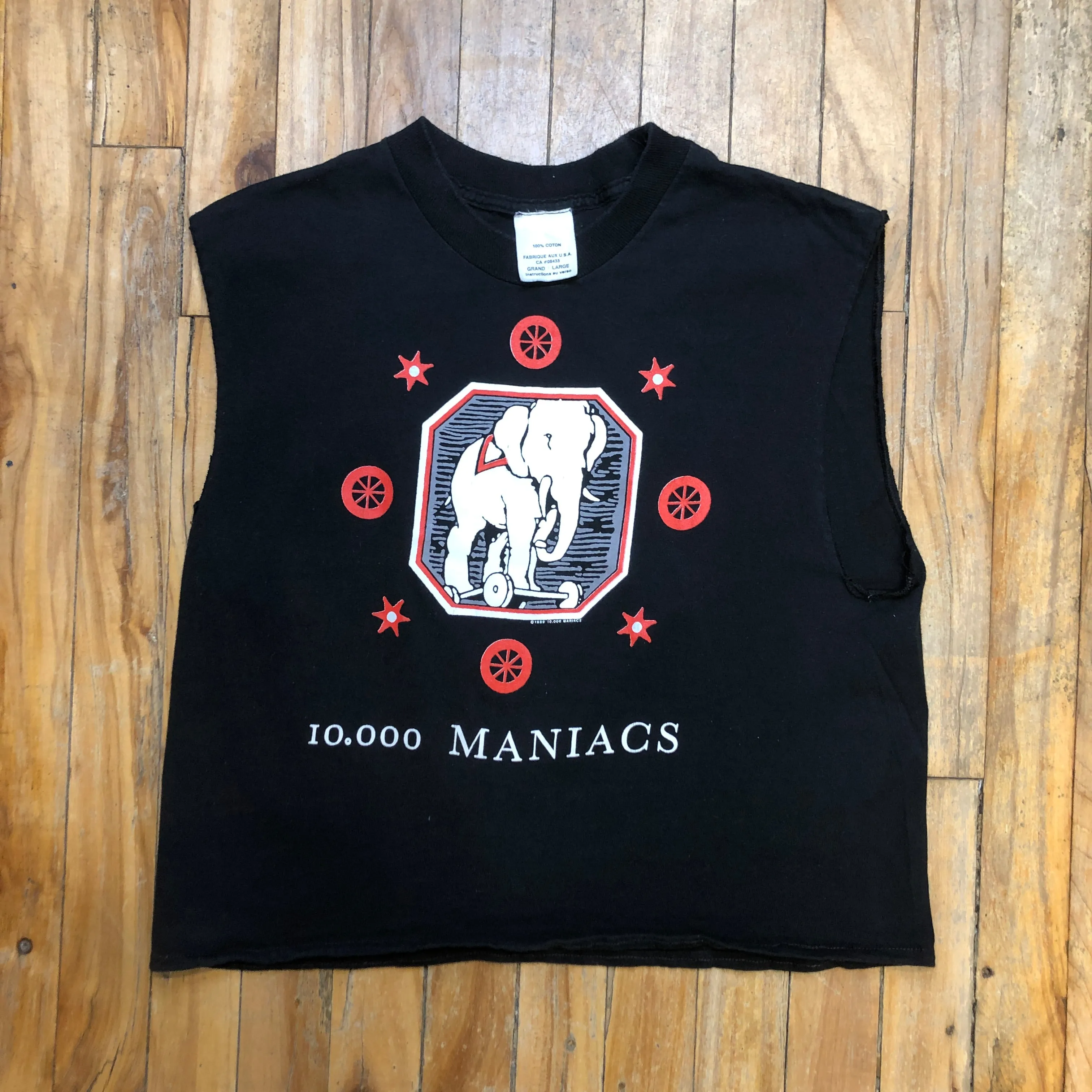 1989 10,000 Maniacs "Blind Man's Zoo" Tour Vintage Made In U.S.A. Single-Stitch Graphic Tank Tee Size L